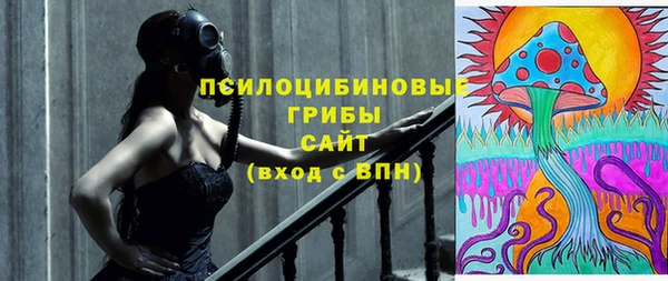 прущие крисы Абаза