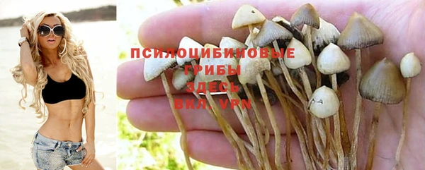 гидра Алзамай