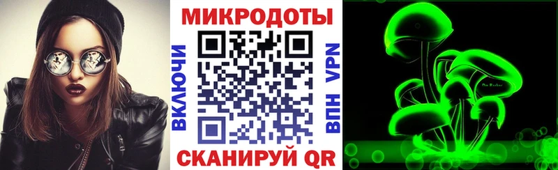 магазин продажи   Енисейск  Галлюциногенные грибы Psilocybine cubensis 